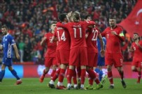 Milli takımın yeni hocası resmen açıklandı!