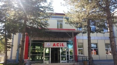 Tunceli'de Domuzun Saldirdigi Vatandas Agir Yaralandi