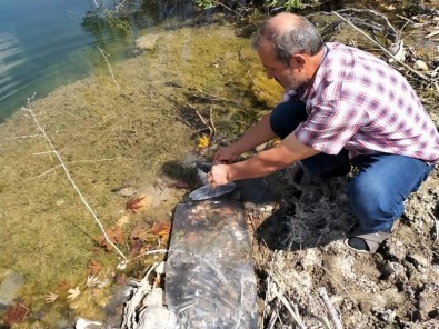 Bilinçsiz Balik Avciligi Uyarisi