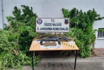 Çiftlik Evde 31 Kök Kenevir 2 Bin 900 Gram Esrar Ele Geçirildi