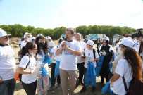 Dünya Temizlik Günü'nde Çiftalan Ormani Temizlendi