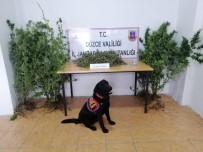 Evine Kenevir Eken Süpheliye Jandarma Baskini