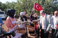 Geleneksel Sire Senliginde Renkli Görüntüler