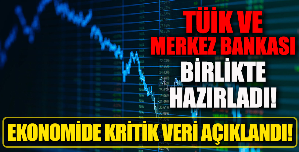 Ekonomide kritik veri açıklandı! TÜİK ve Merkez Bankası birlikte hazırladı