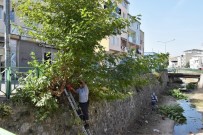 Yildirim'in Dereleri Temizleniyor
