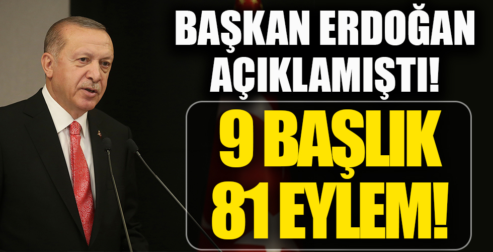 Başkan Erdoğan Açıklamıştı! 9 Başlık 81 Eylem!