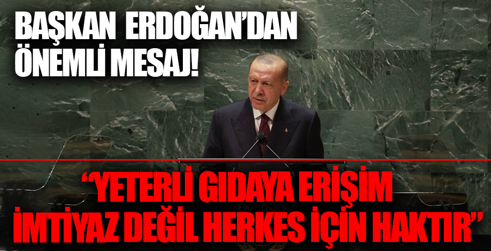 Başkan Erdoğan: Yeterli gıdaya erişim bir imtiyaz değil herkes için bir haktır