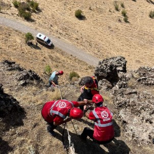 Tunceli'de Kayaliklarda 3 Gündür Mahsur Kalan Hayvanlar Kurtarildi
