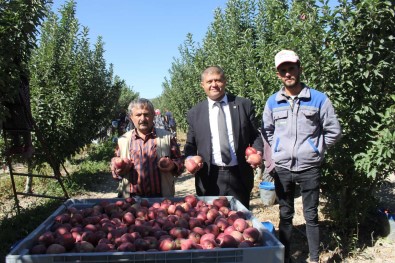 Isparta'da Dalinda 2,5 Liraya Kadar Alinan Elmanin Büyük Marketlerde 7-8 Lira Arasinda Satilmasina Tepki