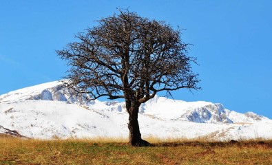 Tunceli'nin Yüksek Kesimlerinde Kar Yagisi Etkili Oldu