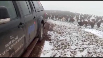 Allahuekber Daglari'nda Kar Ve Tipide Mahsur Kalan Iki Çoban Kurtarildi