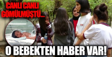 Canlı canlı gömülmüştü! O bebekten haber var...