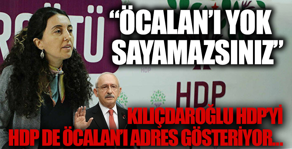 HDP'li Ebru Günay CHP’ye terörist Öcalan'ı adres gösterdi