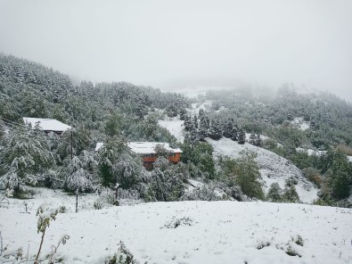 Artvin'de Kar Yagdi, Yaylalar Beyaza Büründü