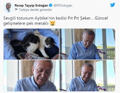Başkan Erdoğan'dan yürek ısıtan paylaşım