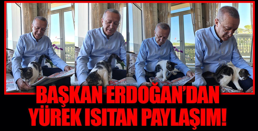 Başkan Erdoğan'dan yürek ısıtan paylaşım
