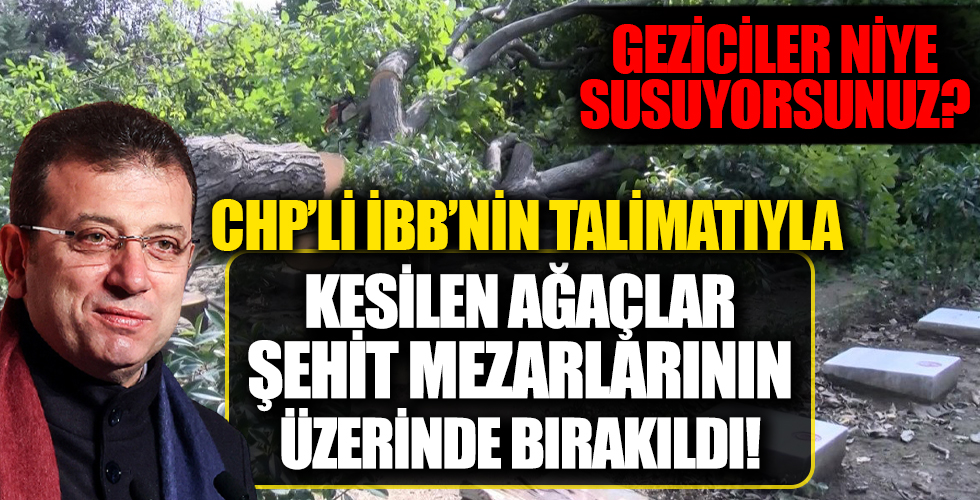 Geziciler niye susuyorsunuz? CHP'li İBB'nin kestiği ağaçlar şehit mezarlıklarına düştü!