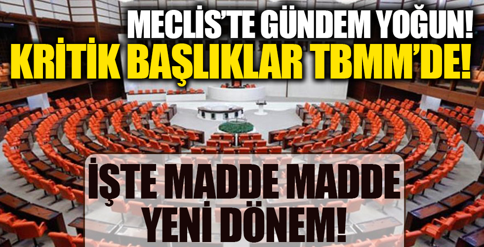 TBMM 1 Ekim'de açılıyor! İşte 2,5 aylık tatilin ardından meclisi bekleyen yoğun gündem