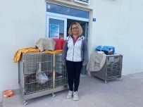 AKÜREM'de Tedavisi Tamamlanan Yaban Hayvanlari Ormanya'ya Gönderildi