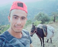 Aydin'da Yük Hayvanlari Degerini Koruyor