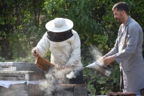 Dünyanin Agzinin Tadi Bursa'dan