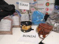 Istanbul Havalimani'nda Pes Pese Uyusturucu Operasyonlari