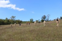 Kayip Sahis Komando Timleri Tarafindan Araniyor