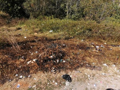 (Özel) Kagithane'de Yesil Alani Yakan Sahis, Kaza Yapinca Yakaladi