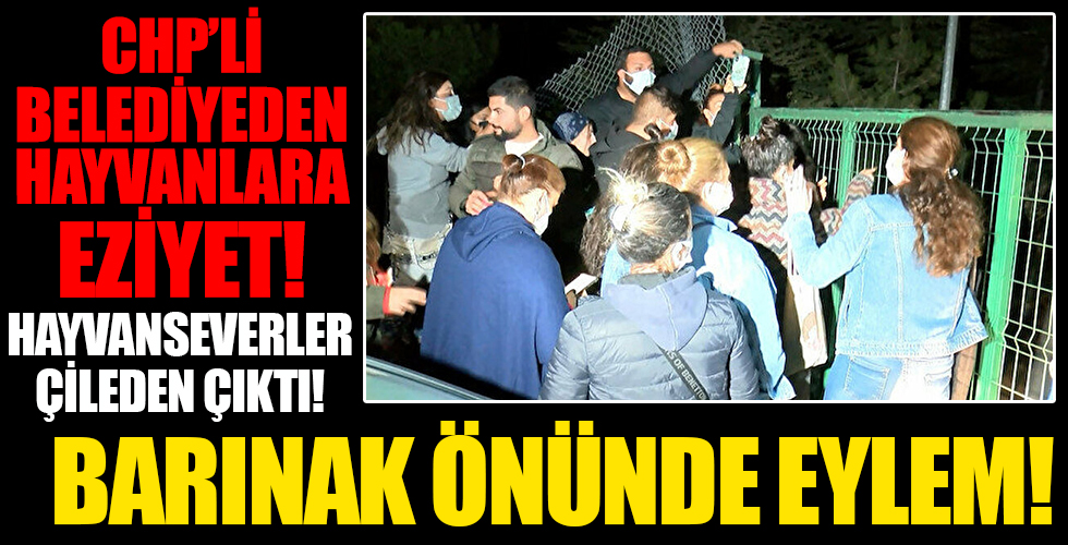 Ankara'daki hayvanseverlerden barınak önünde eylem: Hiçbir şey olmamış gibi devam edeceklerdi