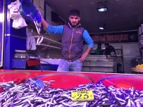 Hamsinin Fiyati Düsmeye Devam Ediyor