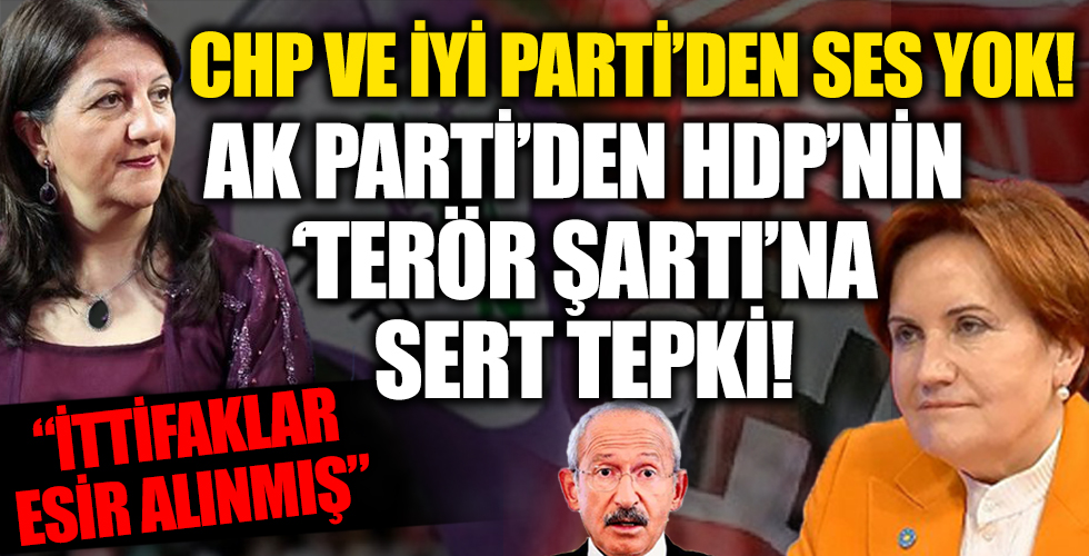 HDP terör şartı koştu, CHP ve İYİ Parti sustu! AK Parti'den sert tepki: HDP ittifakı esir almış...