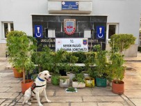 Mersin'de Uyusturucu Operasyonu