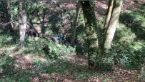 (ÖZEL) ATV Ile Ormanlik Alanda Gezerken Metrelerce Yükseklikten Asagiya Yuvarlandilar