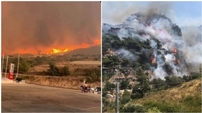 OGM: 9 ildeki tüm yangınlar söndürüldü