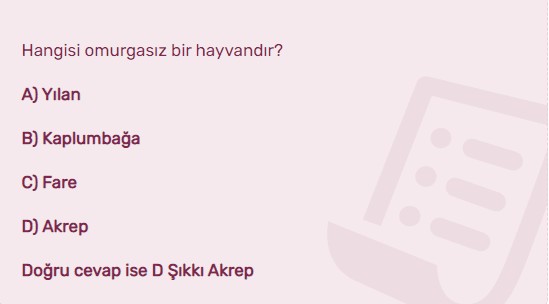 Kim Milyoner Olmak İster'de tartışmalara neden olan soru! Cevaba kimse inanamadı
