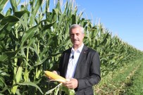 Baskan Tahmazoglu Misir Hasadina Katildi