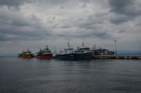 Sinop Limanina Demirlediler