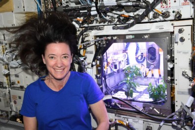 NASA astronotu: Uzayda biber fideleri çiçek açtı