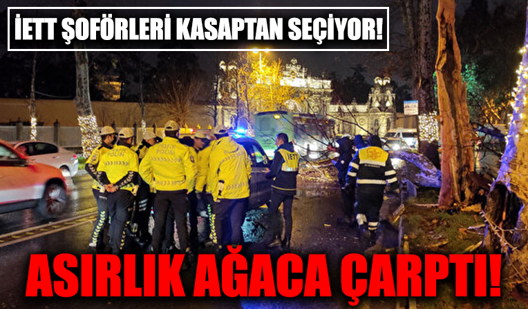 Beşiktaş'ta İETT otobüsü asırlık çınar ağacına çarptı!