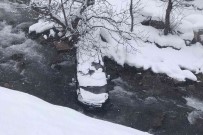 Çatak'ta Karli Yolda Kayan Kamyonet Dereye Uçtu Açiklamasi 2 Yarali