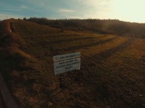 Defneyapragi Toplamaya Destek