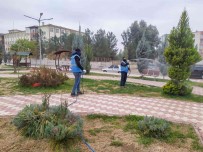 Suriye Sinirinda Sark Çibani Alarmi