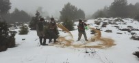 Yaban Hayat Için 600 Kilogram Yem Birakildi