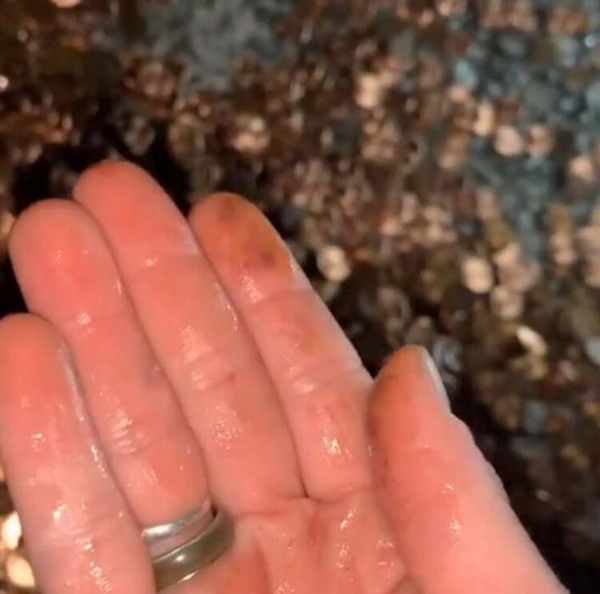 Son maaşını 91 bin bozuk parayla ödedi, bir de küfürlü not bıraktı!