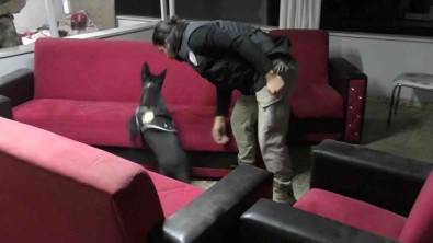 Düzce Torbaci Operasyonunda 98 Kisi Gözaltina Alindi