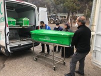 Köpekleri Uzaklastirmak Isterken 5 Yasindaki Kardesini Vurdu