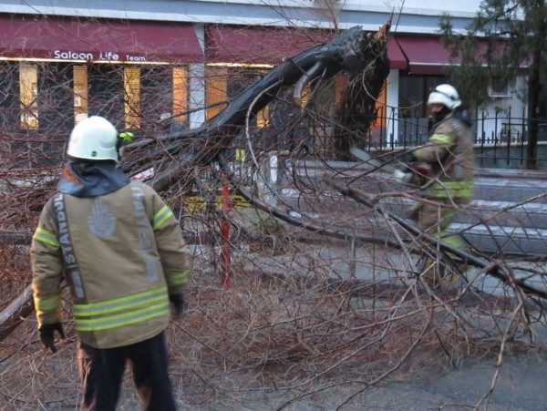 Meteoroloji uyarmıştı: Mega kentten fırtına manzaraları!