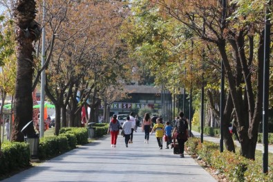 Aralik Ayi, Son 51 Yilin En Sicak 10'Uncu Aralik Ayi Oldu