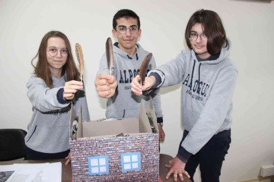 Tavuk Tüyünden Yalitim Malzemesi Gelistirdiler