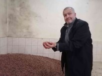 Findik Fiyati Haftayi 35 Liradan Kapatiyor